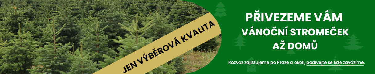 vánoční stromeček